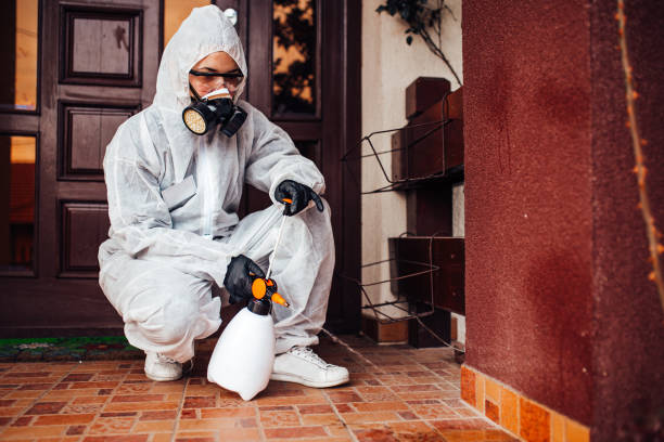 Reliable Bed Bug Control contractor in Norristown, PA by Nex Pest Control
