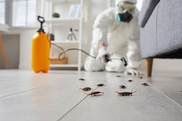 Trusted Fumigation Services service in Norristown, PA - Nex Pest Control