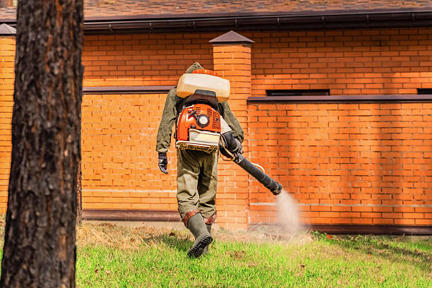 Trusted Rodent Control service in Norristown, PA - Nex Pest Control